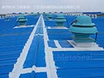 產(chǎn)品展示